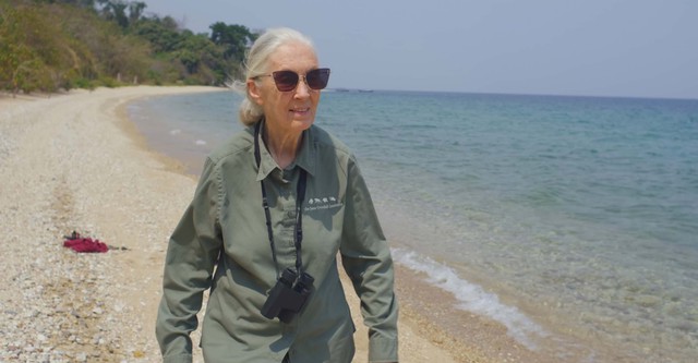 Jane Goodall: Hoffnung