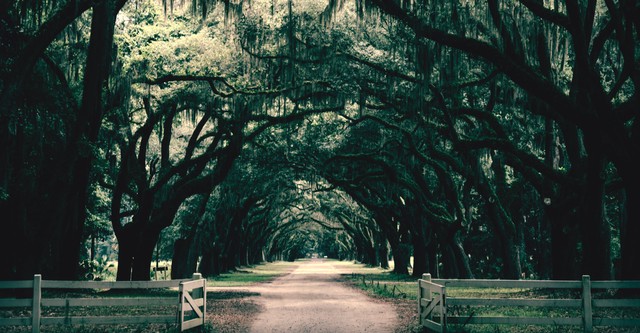 Southern Gothic