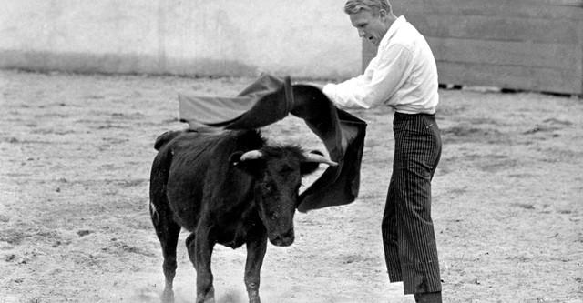 Bullfighter and the Lady