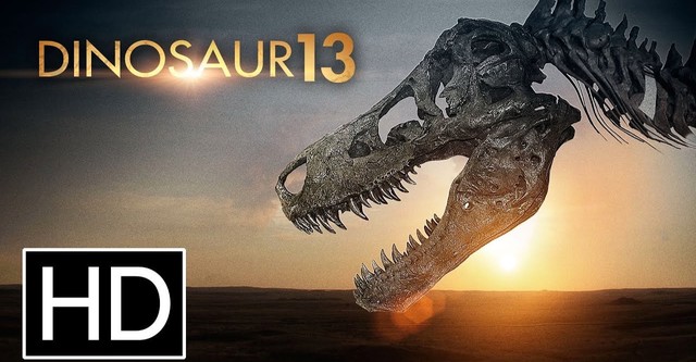 Dinosaur 13