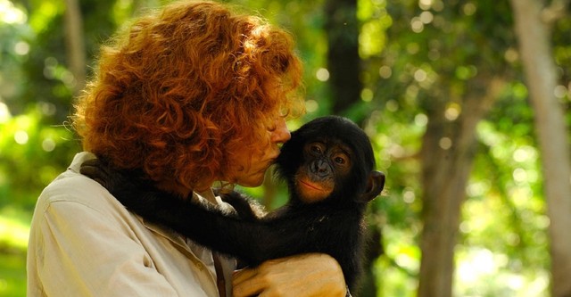 Bonobos: Back to the Wild