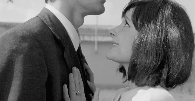 Antes da Revolução