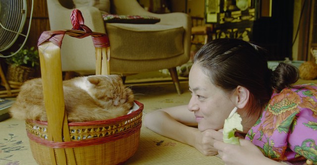 Rent-a-Cat