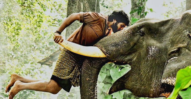 Kumki