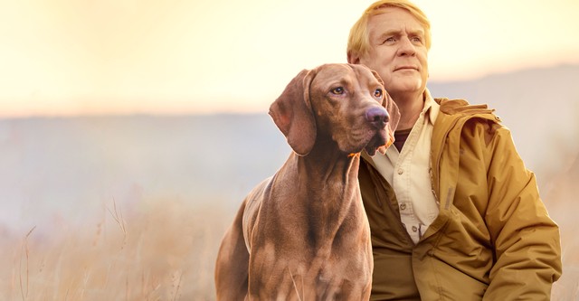 Una vida de perros, con Bill Farmer