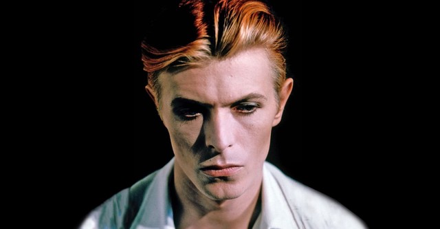 The Man Who Fell to Earth