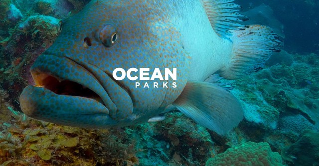 Ocean Parks