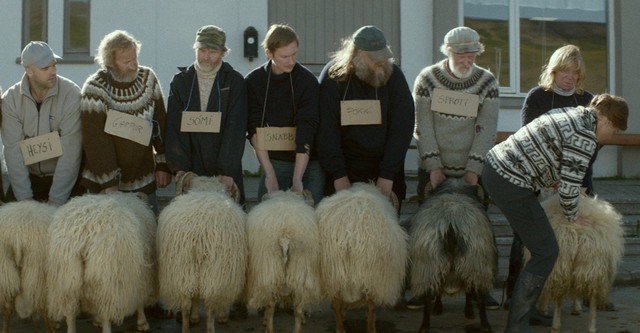 Rams - Storia di due fratelli e otto pecore