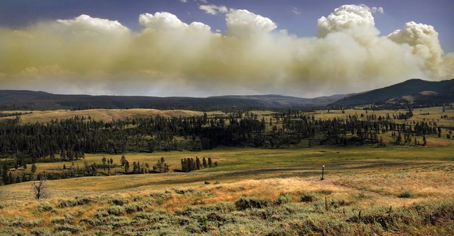 National Parks Exploration Series: Yellowstone