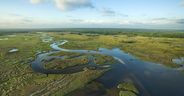 National Parks Exploration Series: The Everglades