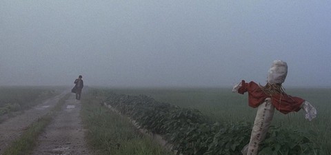 I migliori film coreani: dove guardare ogni titolo in streaming