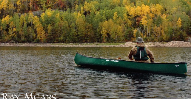 Ray Mears' Bushcraft