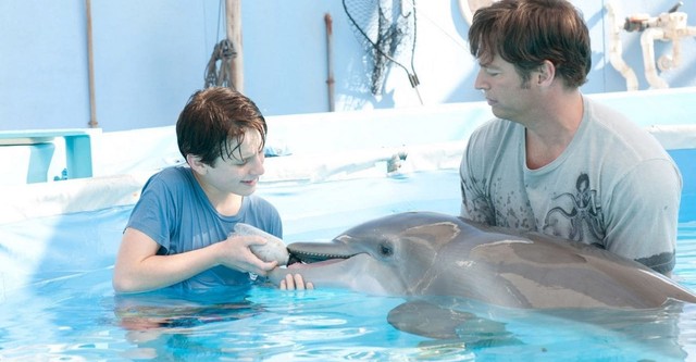 イルカと少年 映画 動画配信 オンライン 視聴