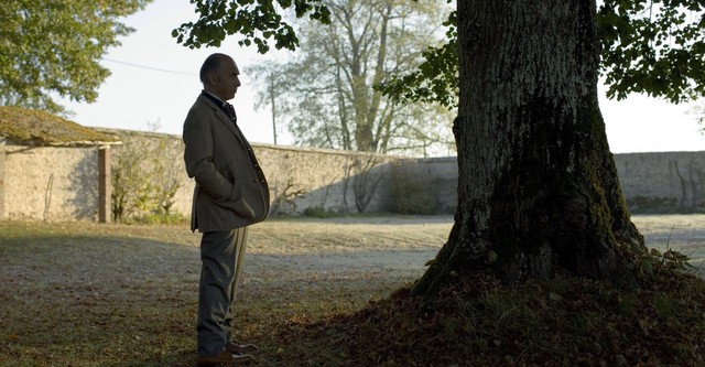 L'Arbre et la forêt