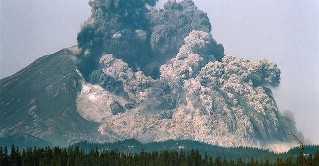 Surviving the Mount St. Helens Disaster