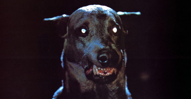 Zoltan, le chien sanglant de Dracula