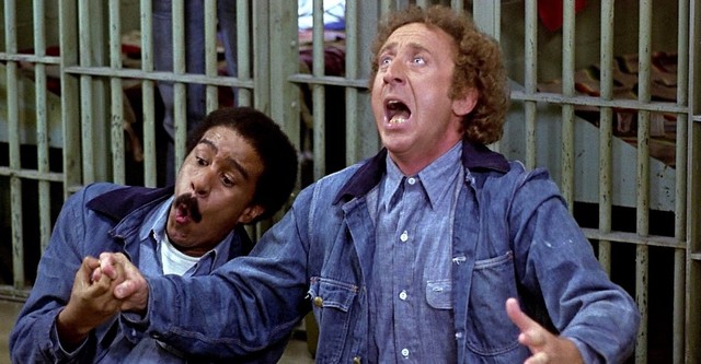 Stir Crazy (1980) - IMDb