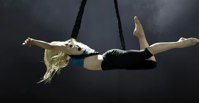 The Aerialist