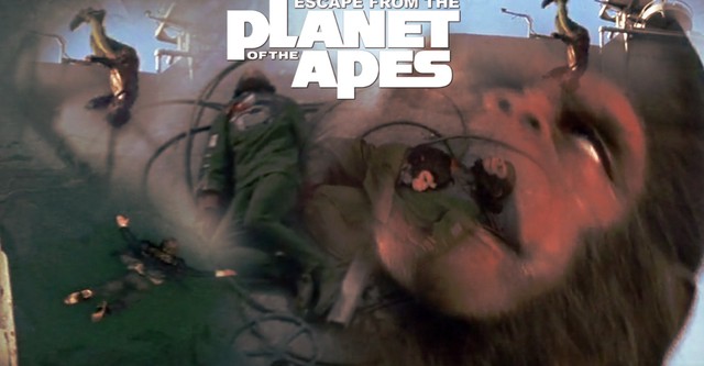 Escape from the Planet of the Apes