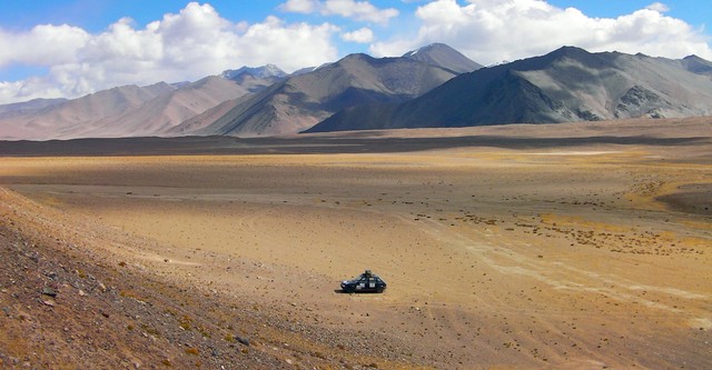 Wild Mongolia