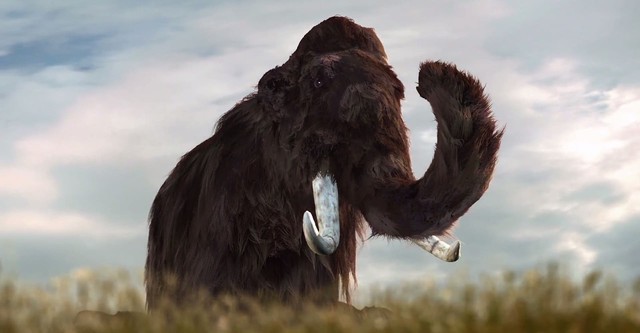 Mammoths: Giants of the Ice Age