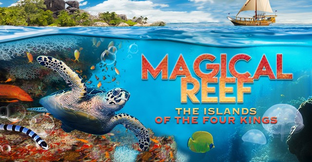 Magical Reef: The Islands of the Four Kings