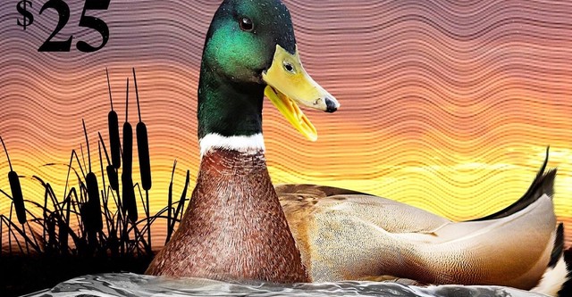 The Million Dollar Duck