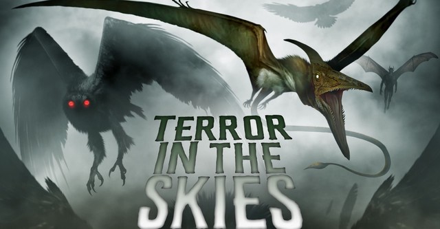 Terror in the Skies