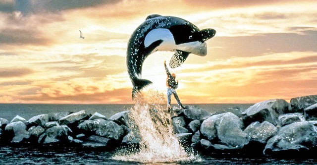 Free Willy