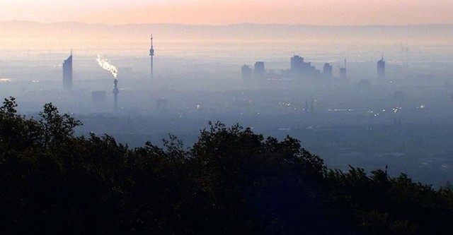 Los Bosques de Viena - Joyas de la Naturaleza