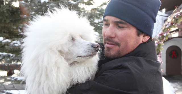 The Dog Who Saved Christmas Vacation