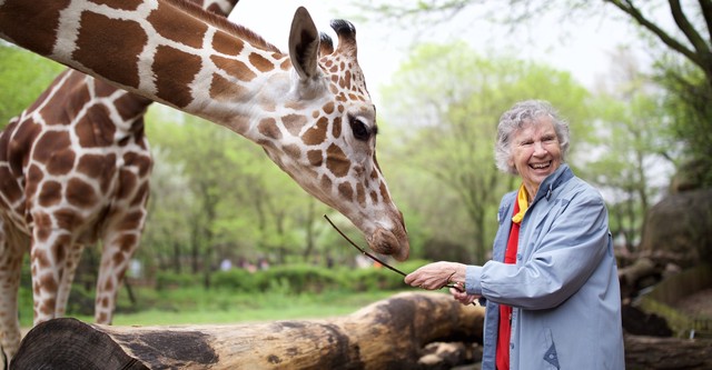 The Woman Who Loves Giraffes