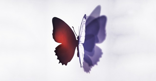 Напълно непозната