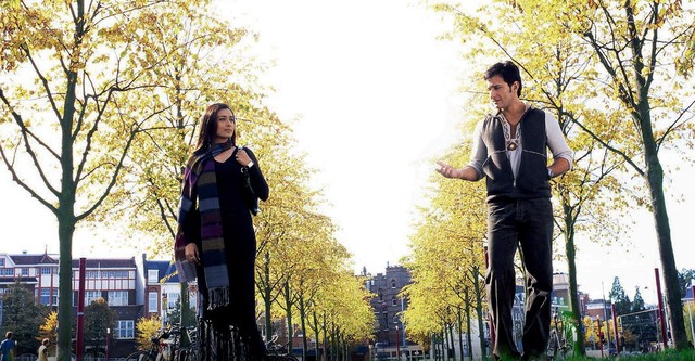 हम तुम - película: Ver online completas en español