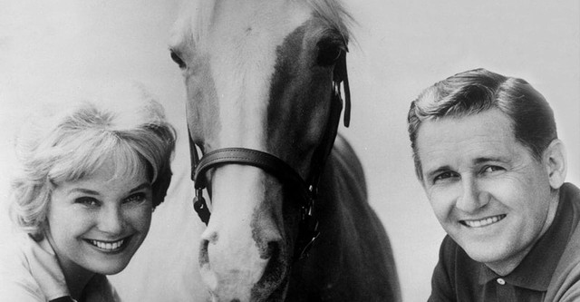 Mister Ed