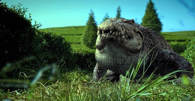 Million Dollar Crocodile