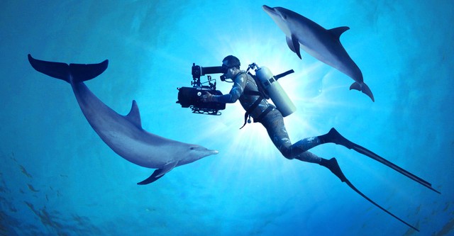 Diving with Dolphins