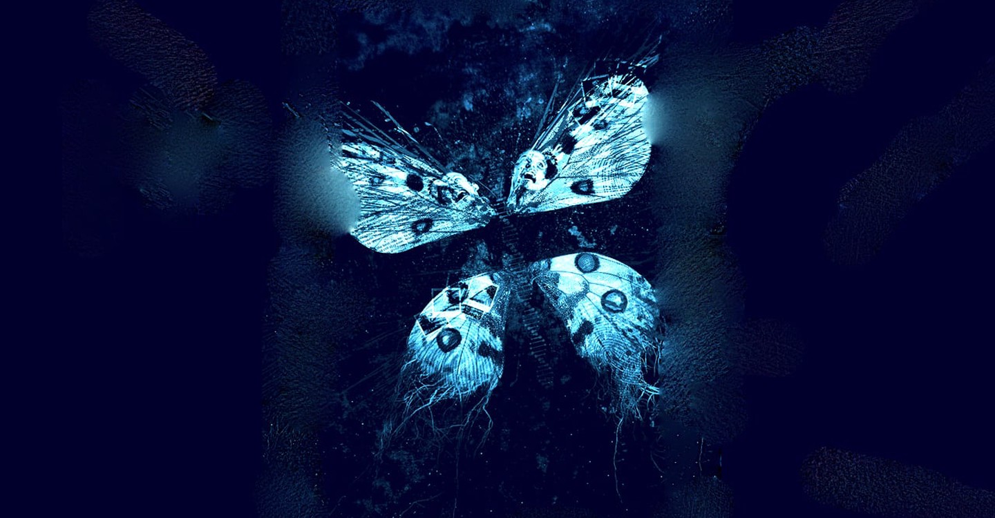 Exit butterfly effect