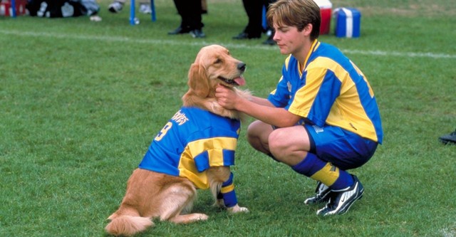 Air Bud 3 - Ein Hund für alle Bälle