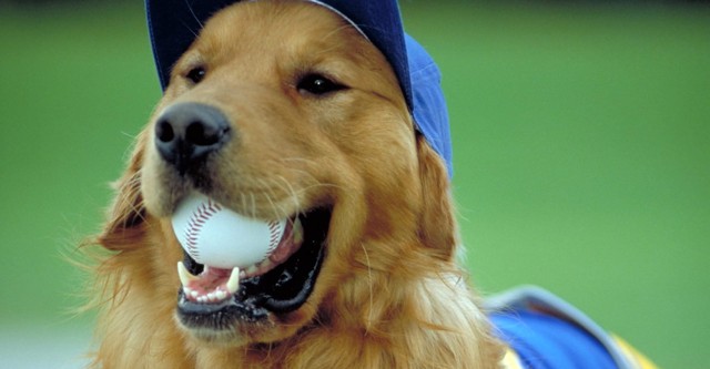 Air Bud - hunden som klarar allt