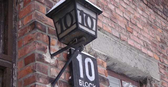 Made in Auschwitz: The Untold Story of Block 10