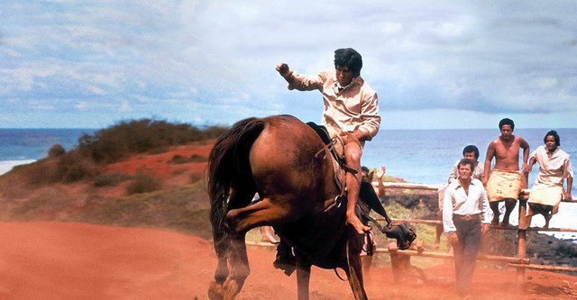 Un cowboy alle Hawaii