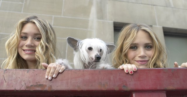 Olsen Twins: Jeden deň v New Yorku