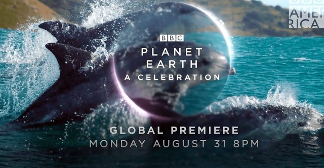 Planet Earth A Celebration