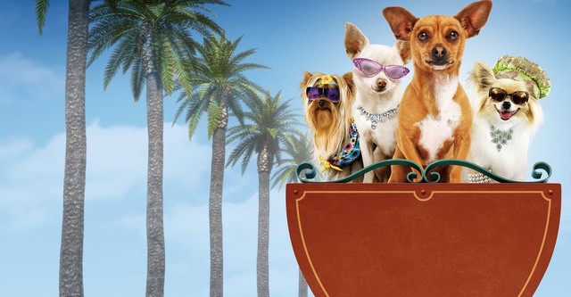 Beverly Hills Chihuahua