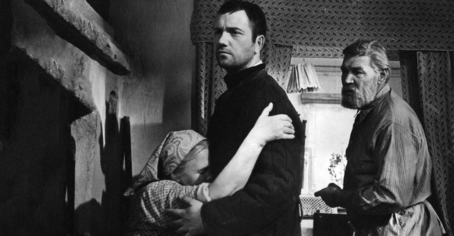 Your Son and Brother