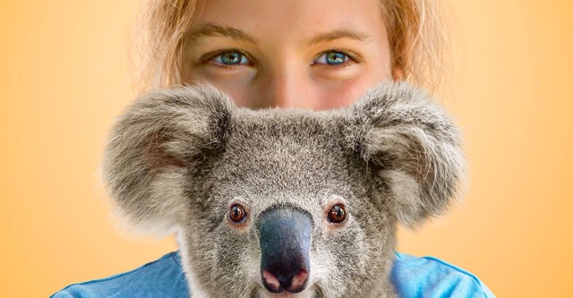 Izzy's Koala World