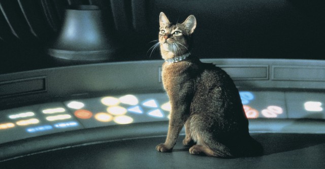 The Cat from Outer Space