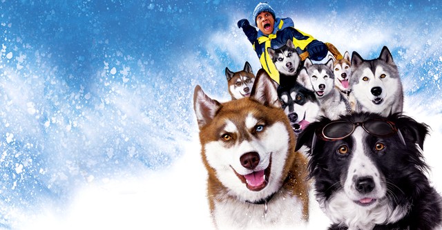 Chiens des neiges