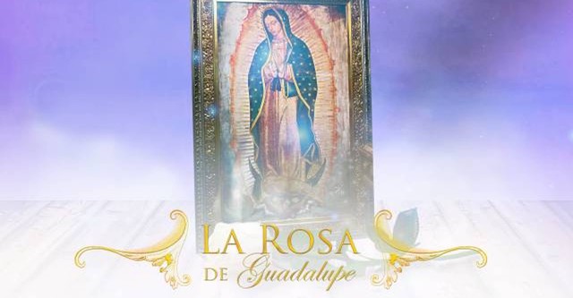 La Rosa De Guadalupe